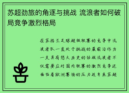 苏超劲旅的角逐与挑战 流浪者如何破局竞争激烈格局 苏超劲旅的角逐与挑战 流浪者如何破局竞争激烈格局